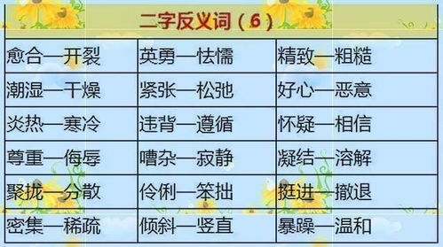 毽怎么组词语