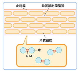 仔细仔怎么组词