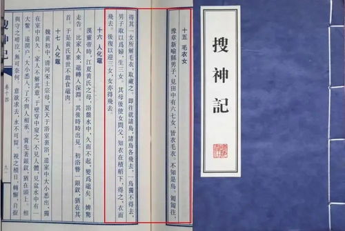 仙子仙怎么组词
