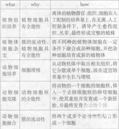 枉组词语