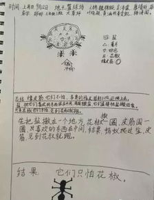 蚂是怎么组词