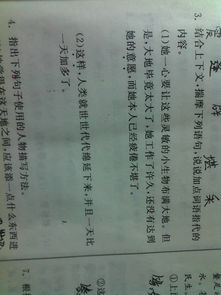 组词题型分析怎么写