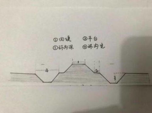 小度洞可以怎么组词
