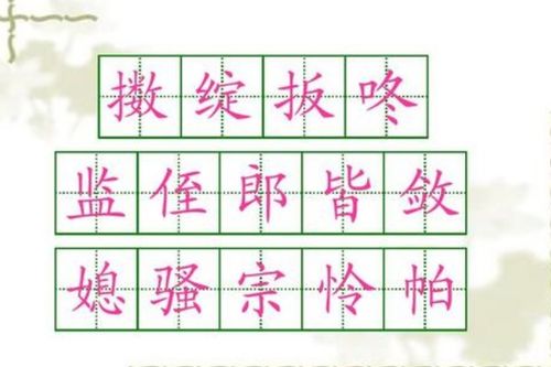 杖怎么组词