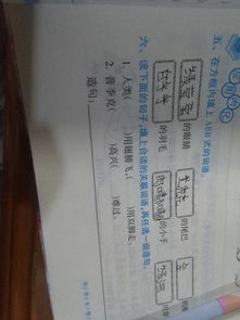 蟀字怎么组词