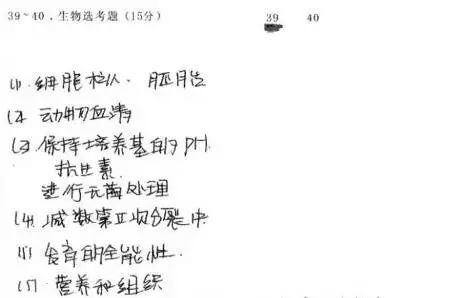 答题两个字怎么组词