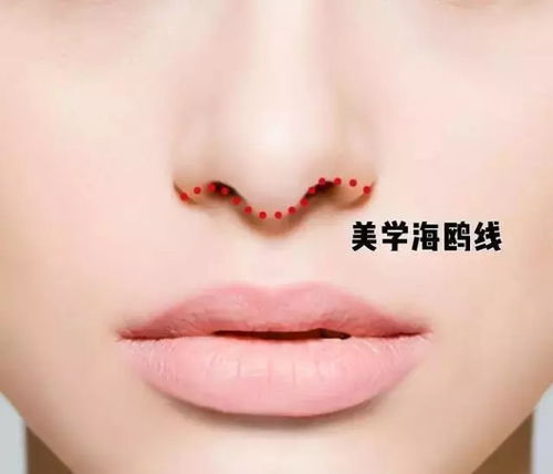 鼻子是怎么组词