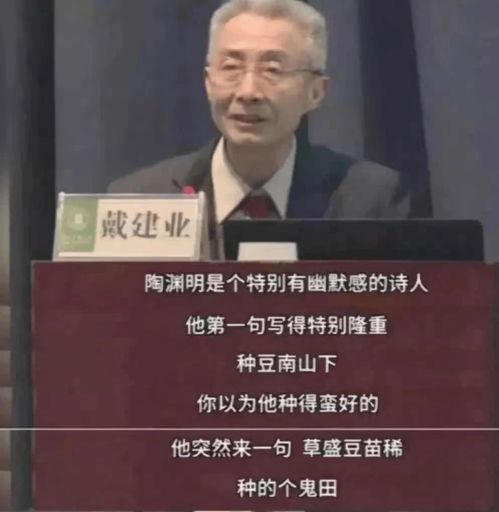 戴组词