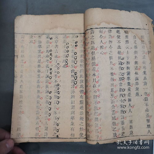 卢页怎么组词