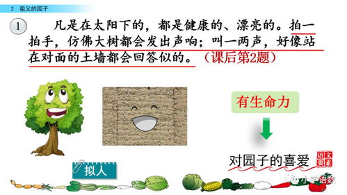 星光的拼音组词怎么写