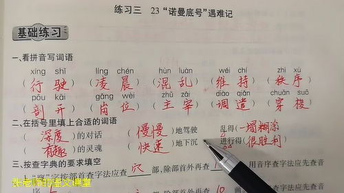 背的组词怎么写