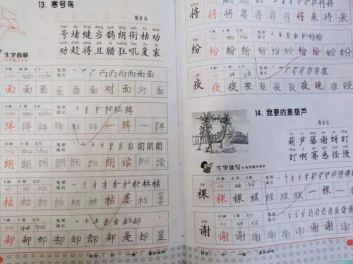 背的组词怎么写
