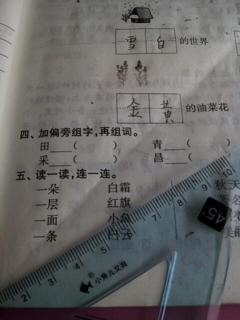 田狗怎么组词