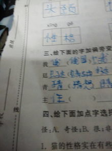 的主怎么组词