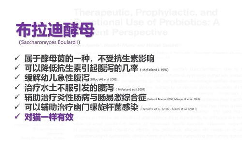 狗迪的迪怎么组词