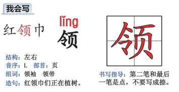 尾怎么组词2个