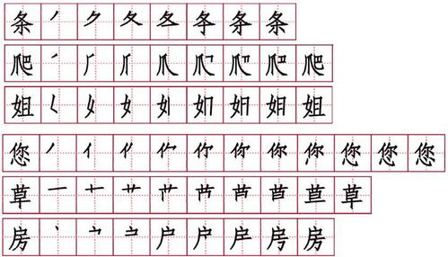 尾怎么组词2个