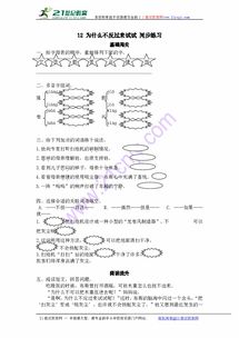 反对的反组词
