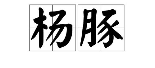 用杨组词