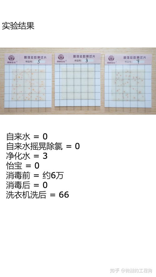 拖鞋袜裤怎么组词