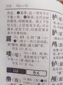 露怎么组词路
