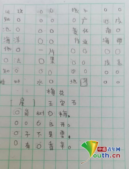播不补补怎么组词