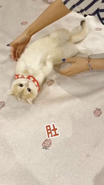 借怎么组词语