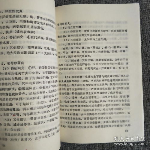 养鸡的鸡怎么组词