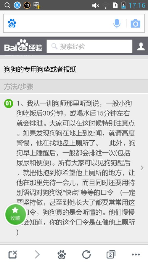 小笨怎么组词