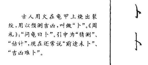 卜怎么组词补