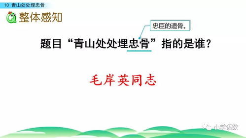 怎么组词殊