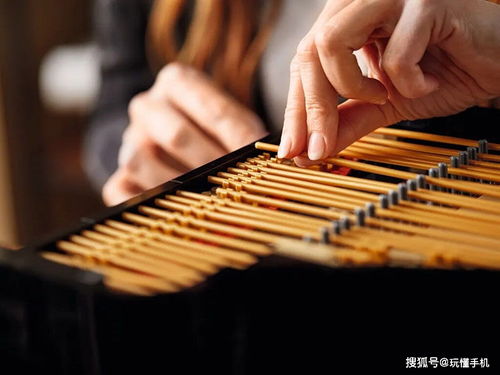 弹钢琴乐高怎么组词