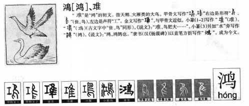 鹄的读音怎么组词