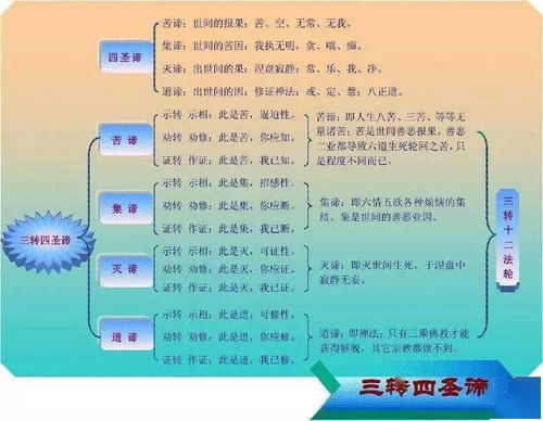 何谓慧的慧怎么组词