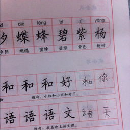 天可以怎么组词语