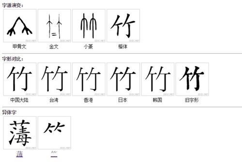 竹字头的罗该怎么组词