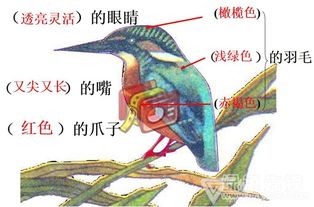 苇秆的秆怎么组词