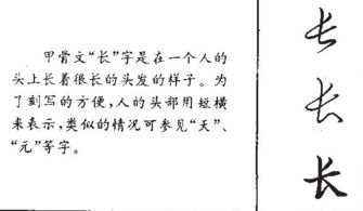多音字长组词