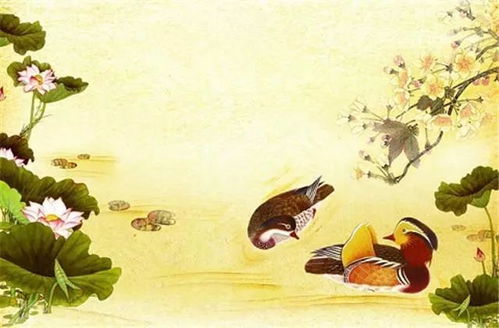 鸳鸳鸯的鸳怎么组词啊