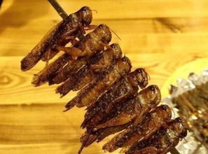 很稀有的蚂蚱怎么组词 很稀有的蚂蚱怎么组词