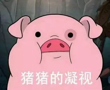 猪猪嘎嘎的猪怎么组词