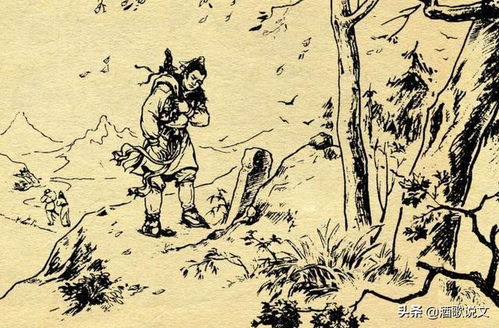 琵琶趴趴怎么组词