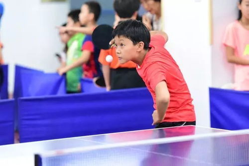 乒乓的胖怎么组词