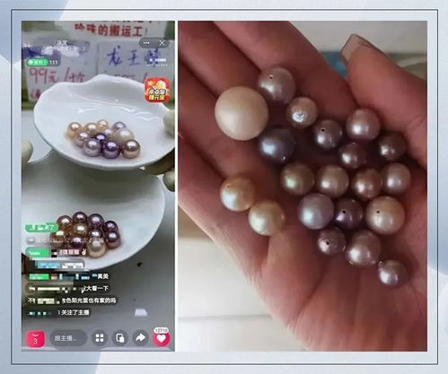 珠蚌怎么组词
