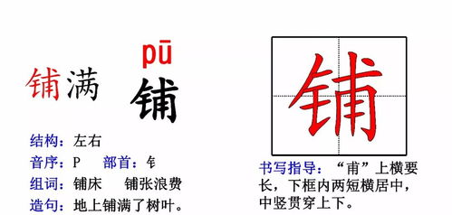 星黛怎么组词