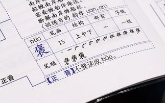 专怎么组词