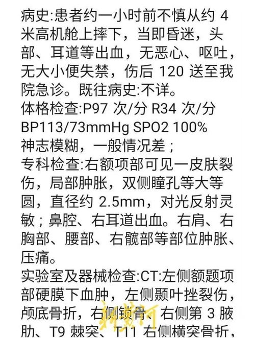 飞前面怎么组词啊