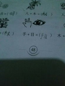 目字怎么组词