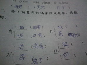 用筷怎么组词