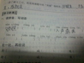 党组词的拼音怎么读